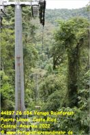 44197 26 034 Veruga Rainforest, Puerto Limon, Costa Rica, Central-Amerika 2022.jpg